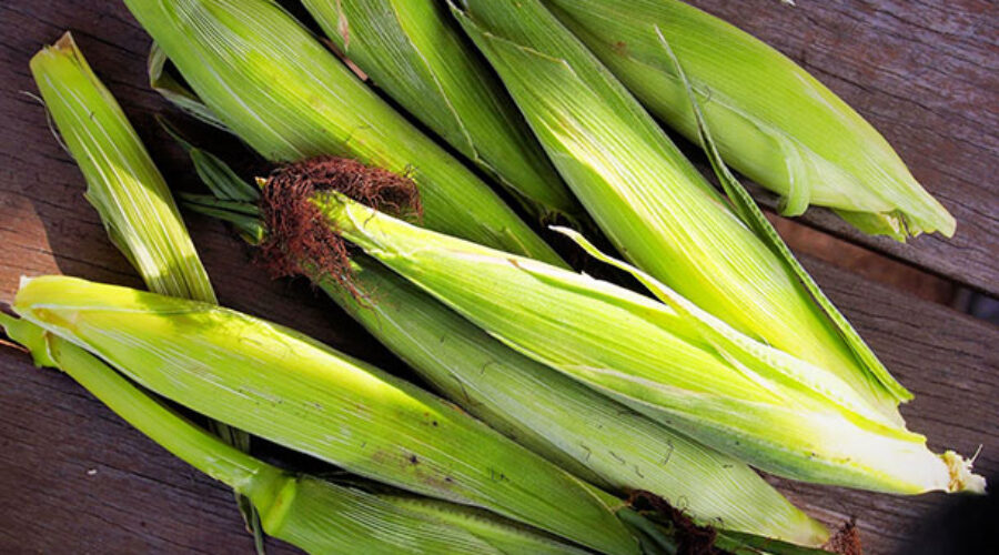 The Community Food Movement: Are we looking in the right place to build markets in fair food?