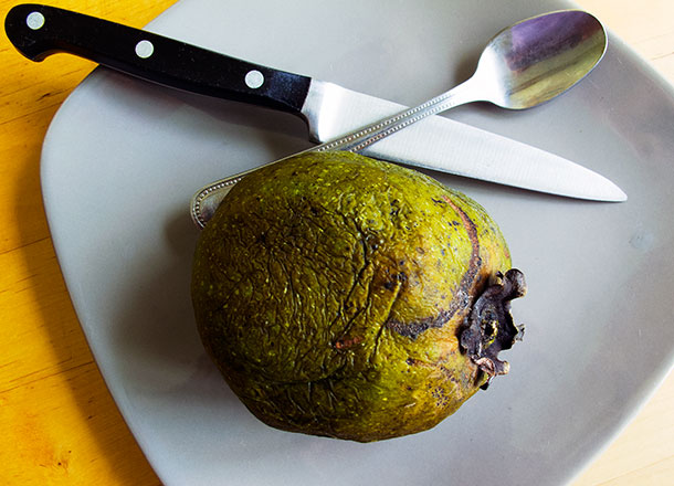 sapote1