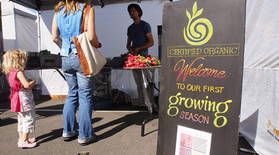 The Community food movement: communication and cooperation needed