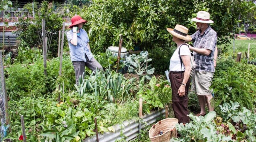 Internships in permaculture: federal report raises questions