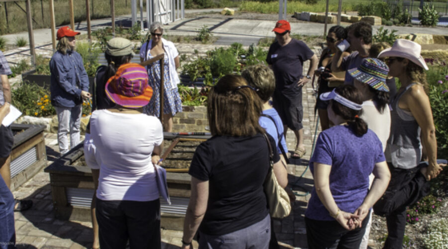 The legals: Our duty of care to visitors to permaculture sites