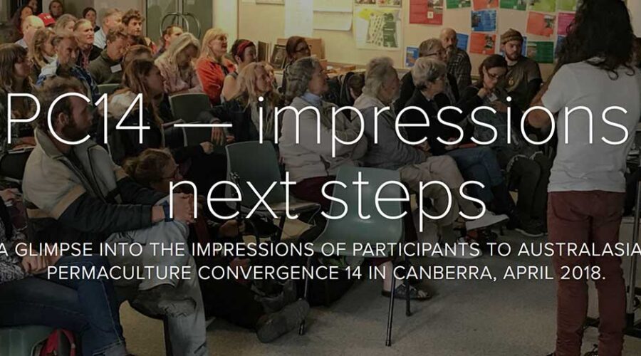 APC14 — impressions of a permaculture convergence