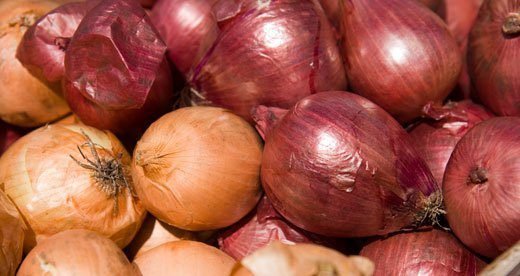 roots-onions2