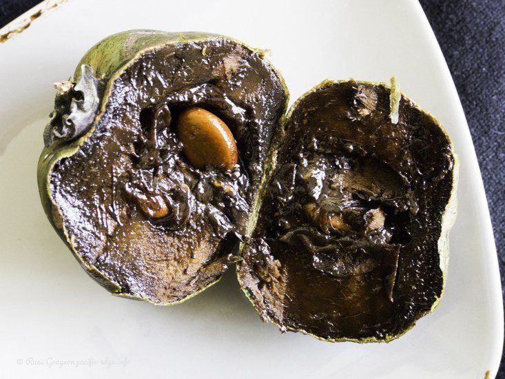 Black sapote — chocolate pudding fruit